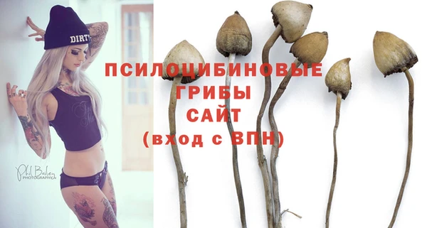 прущая мука Иннополис