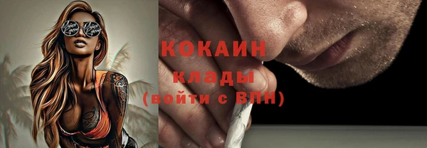 дурь Инта