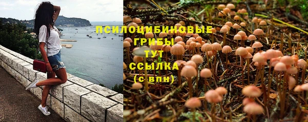 прущая мука Иннополис