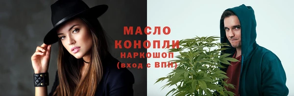 дурь Инта