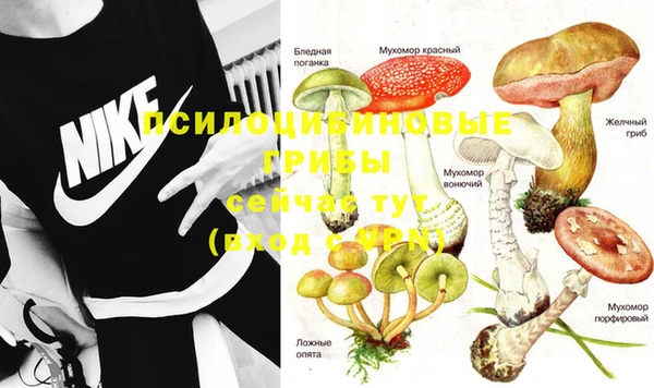 прущая мука Иннополис
