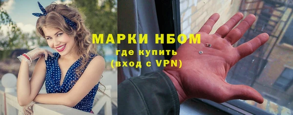 дурь Инта