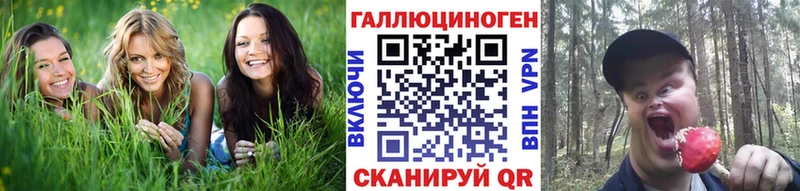Галлюциногенные грибы Magic Shrooms  купить закладку  Высоцк 